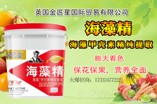 小麥價格還會出現(xiàn)大漲嗎？小麥行情總結！