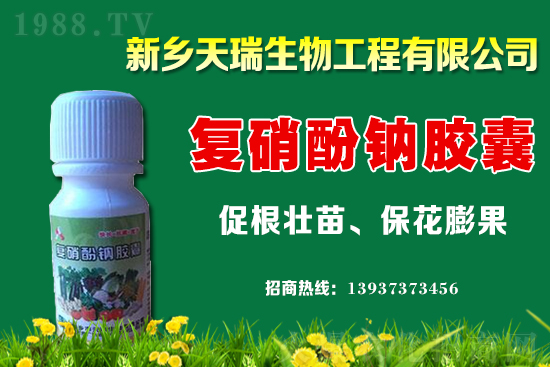 大蔥一畝地能產(chǎn)多少斤？大蔥價(jià)格為何上漲？