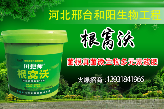 哪些病害屬于土傳病害？采取什么措施可以防治？