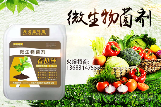 寒潮來襲！大棚持續(xù)低溫，作物生根要點(diǎn)！