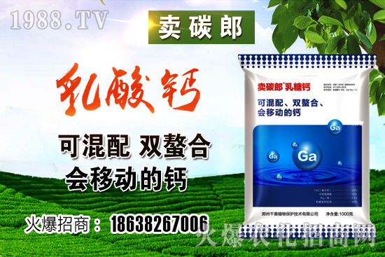 政策阻力較大，小麥價格整體高位趨穩(wěn)！