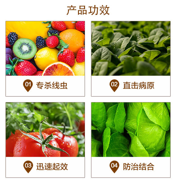 聚天門冬硼酸多醌木霉菌復合菌劑-斷刀-美島之星_03