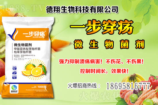 國產大豆價格穩(wěn)中有跌！2020-12-21黑龍江及部分地區(qū)大豆行情！