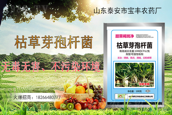 枯草芽孢桿菌能解決作物哪些問(wèn)題？枯草芽孢桿菌在農(nóng)作物上的應(yīng)用！