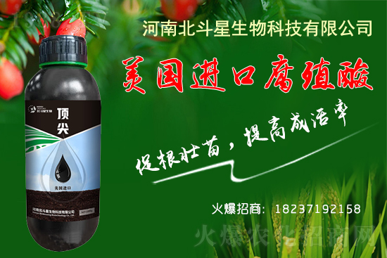 低溫條件下，大棚種植如何做到生根、養(yǎng)根、護(hù)根