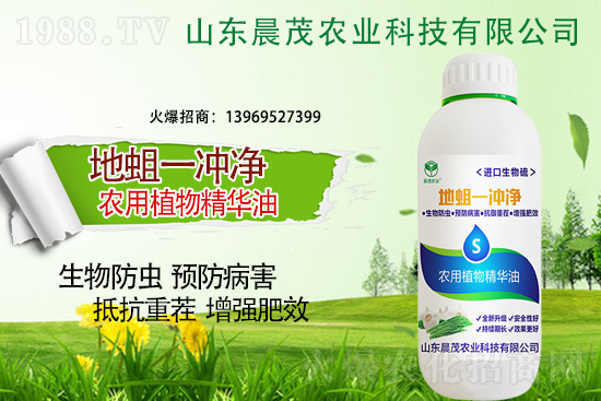 地蛆難防也要治，地蛆的防治要點