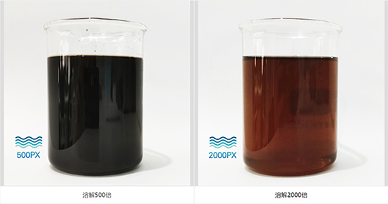 大量元素水溶肥10-6-38+TE-精華王子-農富天下3