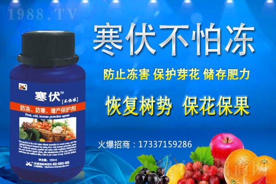 小麥凍害發(fā)生后該怎么辦？補(bǔ)救措施有哪些？小麥凍害和藥害如何區(qū)分？