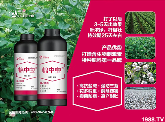 特種肥為什么這么火？有什么特點之處？