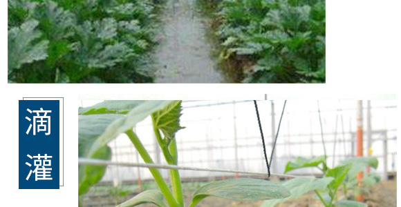 養(yǎng)根促根型有機水溶肥料-一畫農(nóng)業(yè)_08