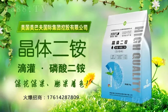 冬季茄果蔬菜蘸花如何避免藥害發(fā)生？蔬菜蘸花注意哪些問題？