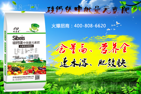 硅鈣鎂元素肥你了解多少？好處有哪些？