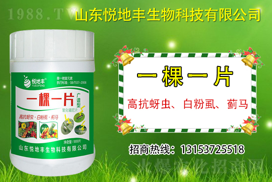 高抗蚜蟲、白粉虱、薊馬用什么打？一蟲不留？