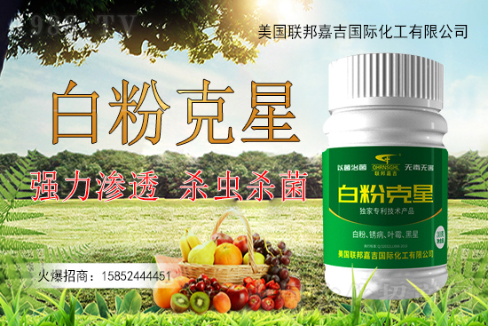 辣椒白粉病為何難以防控？辣椒白粉病如何用藥防治效果好？