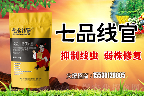     白菜根結(jié)線蟲危害極大！抓緊防治！白菜根結(jié)線蟲有效藥劑推薦！