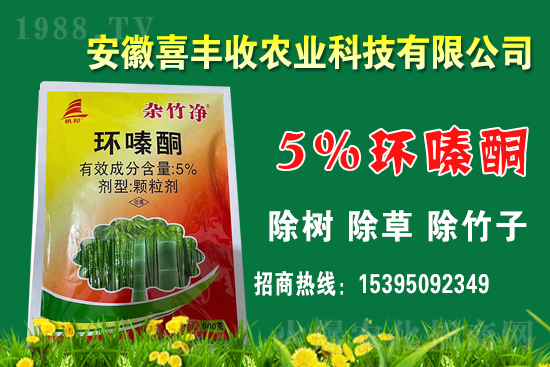 1 環(huán)嗪酮的作用機理有哪些?該如何復配?環(huán)嗪酮適合作物及應用范圍!