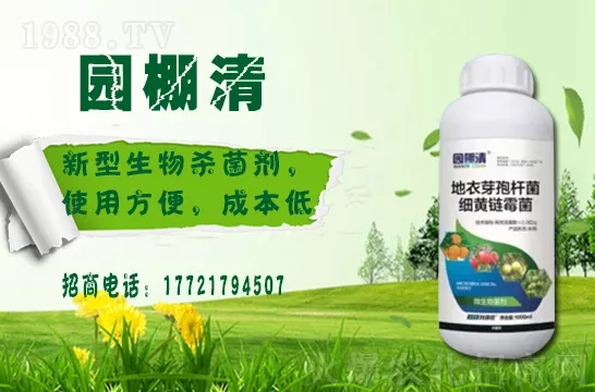 磷酸二氫鉀冬天用效果好嗎？磷酸二氫鉀如何提升植物抗寒能力的？