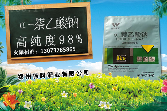 豆角種植時間是什么時候?豆角對環(huán)境條件有哪些要求?