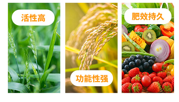 膨元帥-喜農緣-歐曼森_04