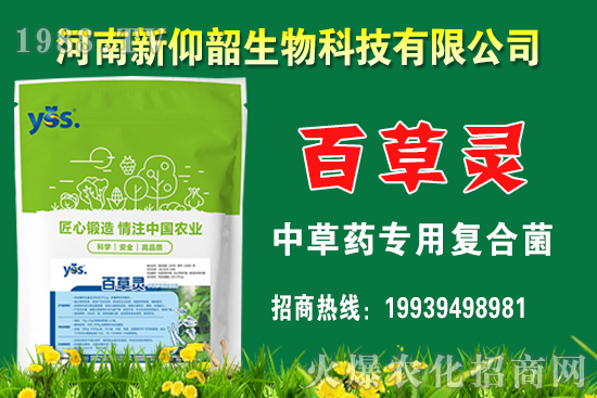 今年小麥價(jià)格還會(huì)漲嗎？2020年12月小麥價(jià)格行情如何？