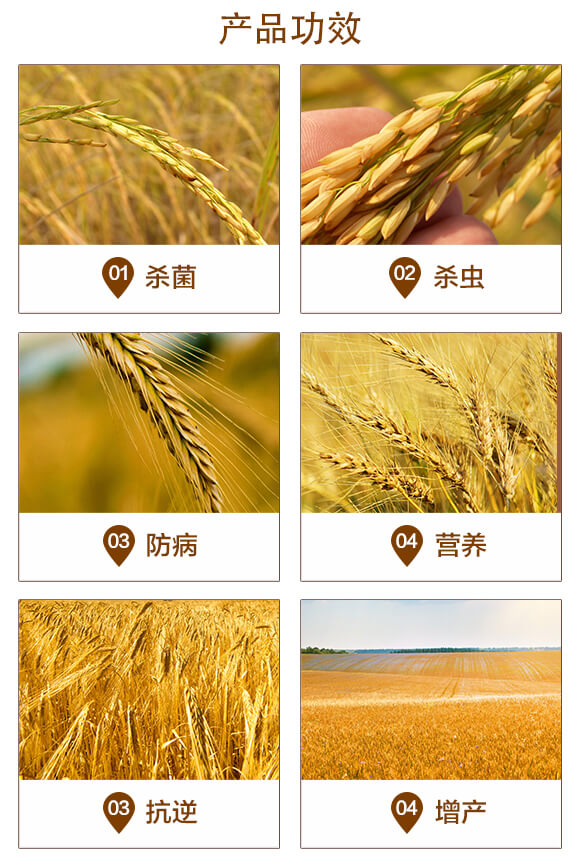 小麥高產(chǎn)套餐(四效合一)-粒粒多-泰利爾_03