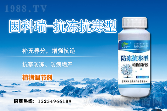 今日稻谷價格多少錢一斤？2020年12月9日稻谷價格行情