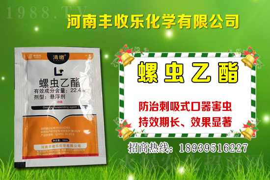 2021年棉花種植品種該怎么選？棉花選種要注意哪些問題？
