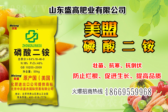 近期小麥價(jià)格還會繼續(xù)上漲嗎？12月小麥價(jià)格行情分析