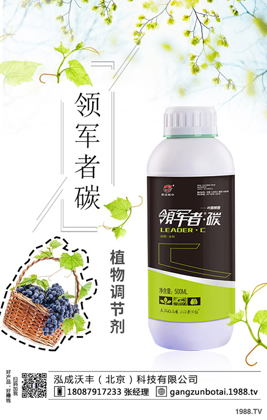 種植空心菜如何提高產(chǎn)量？這些種植方法要知道！