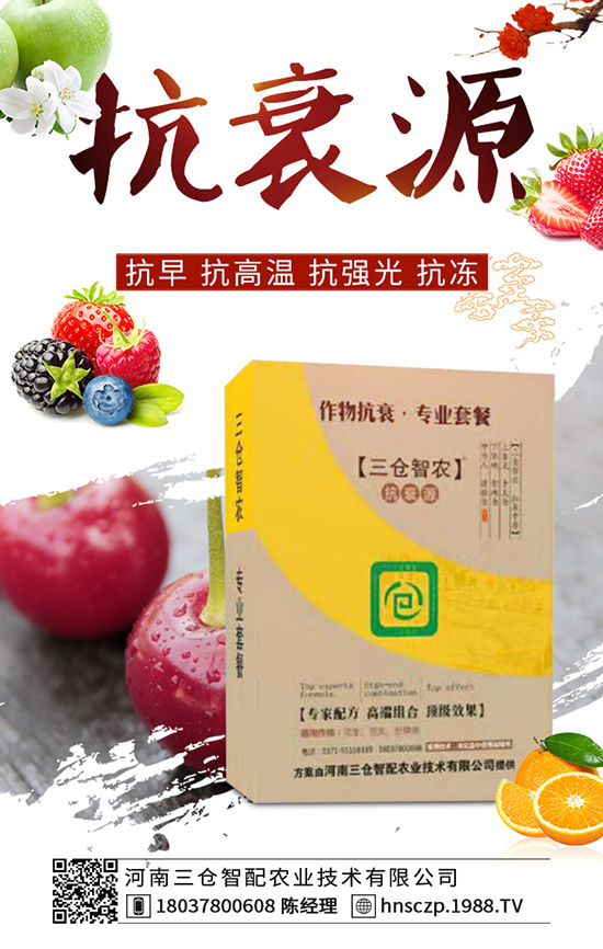 三月份適合種植什么蔬菜？三月份蔬菜種植注意事項！