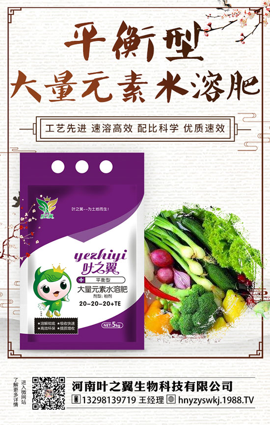 牡丹什么時(shí)候開花？如何延長牡丹開花時(shí)間？