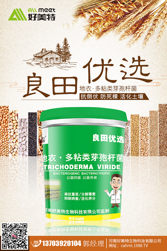 番茄青皮果到底什么原因？番茄青皮果如何有效預(yù)防？