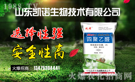 ����ף�R�P�Z���ﺞ�s���v1988.TV���_���W(w��ng)�j(lu��)������ģʽ��