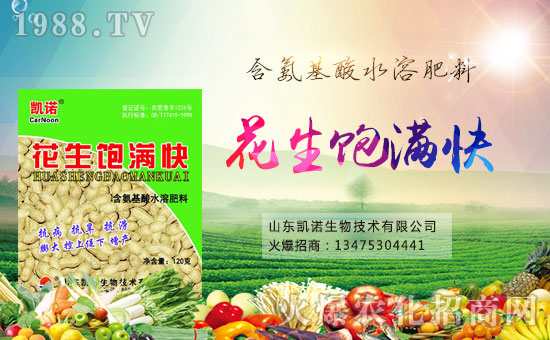 ����ף�R�P�Z���ﺞ�s���v1988.TV���_���W(w��ng)�j(lu��)������ģʽ��