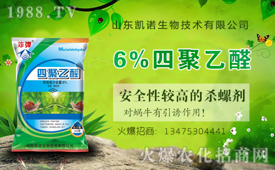 ����ף�R�P�Z���ﺞ�s���v1988.TV���_���W(w��ng)�j(lu��)������ģʽ��