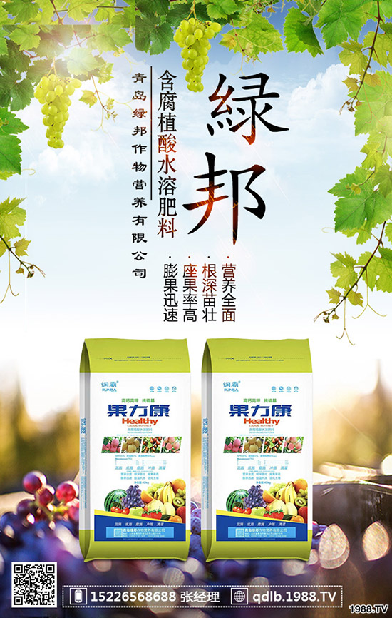 春季菠菜怎樣施肥好？種植菠菜如何科學施肥