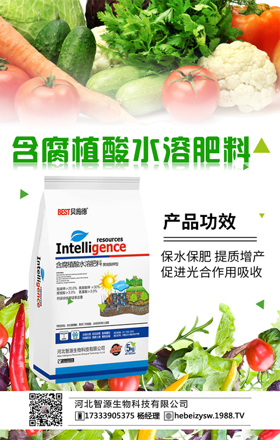 春季種植番茄施什么肥好呢？