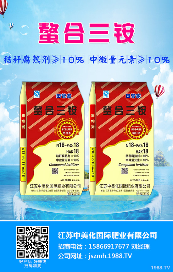 生菜水培的好處有哪些？生菜水培管理方法！