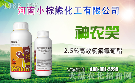 С���ܻ����ɹ����s1988.TV���y�ֹ���(chu��ng)��(zh��n)����