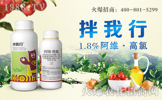 С���ܻ����ɹ����s1988.TV���y�ֹ���(chu��ng)��(zh��n)����