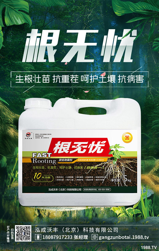 豆角鉆心蟲危害大、抗性大怎么辦？豆角鉆心蟲綜合防治！