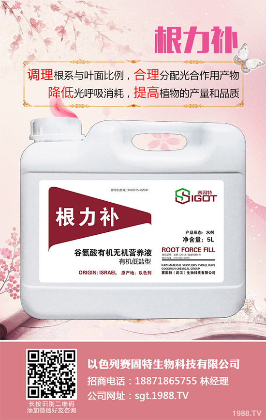 小麥春季常見(jiàn)的病害有哪些？該如何防治？春季小麥病害防治方法介紹