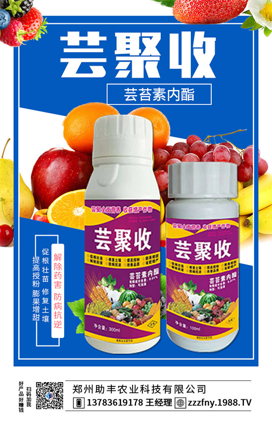 ���r(n��ng)���W(w��ng)�ٺ��������S�r(n��ng)�I(y��)�����M��(zh��n)�Ժ�����������