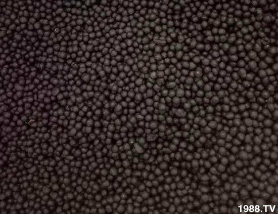 復(fù)合微生物菌劑(藍(lán))-地康欣