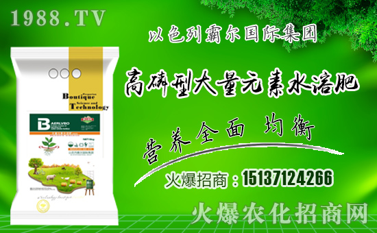 �������\�l(f��)չ����ɫ�аԠ��ٺ�1988.TV�_��(chu��ng)���x����