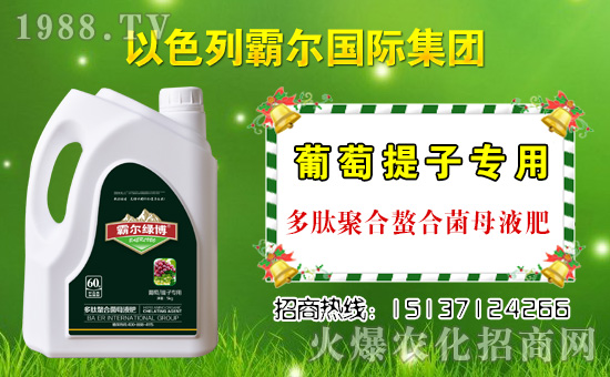 �������\�l(f��)չ����ɫ�аԠ��ٺ�1988.TV�_��(chu��ng)���x�ͣ�