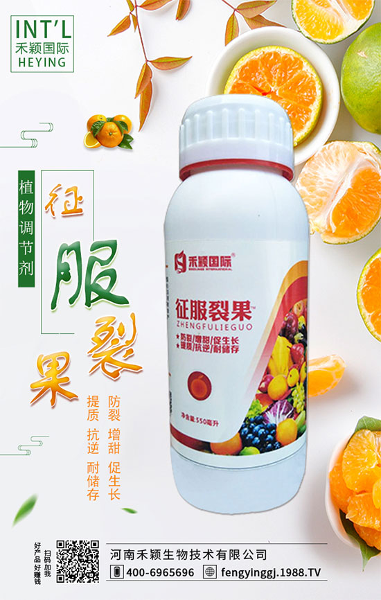 柑橘什么時(shí)間適宜栽種？柑橘肥水管理有哪些？