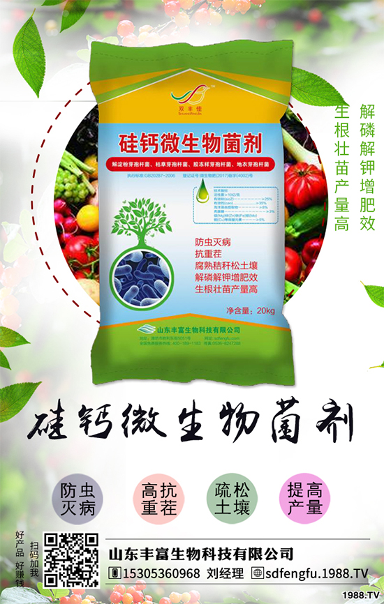 花生如何選種？花生怎么種植能高產(chǎn)？