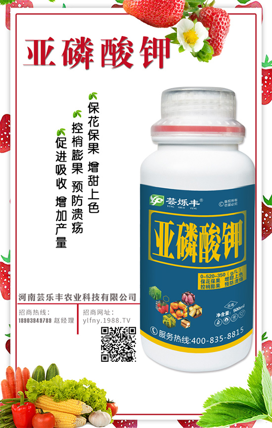 花生什么時間種植？花生生長管理要點！