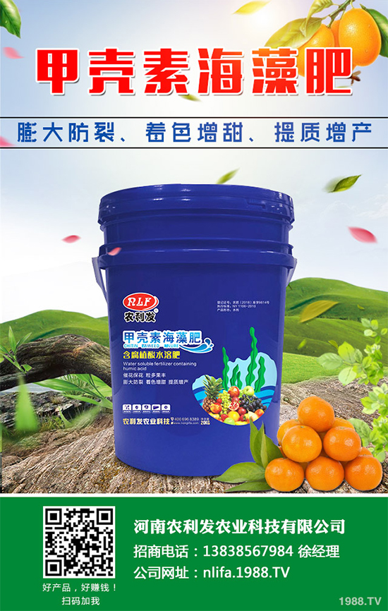 種植白術(shù)掙錢嗎？2020白術(shù)種植前景及效益分析